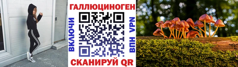 что такое наркотик  Оханск  Псилоцибиновые грибы Psilocybine cubensis 